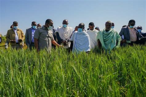 Apply now on ethiojobs. . Rural development and agricultural extension vacancy in ethiopia salar